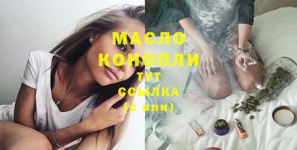 гашик Сосновка