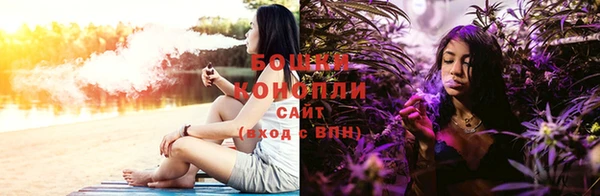 стаф Сосновоборск
