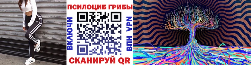 Псилоцибиновые грибы MAGIC MUSHROOMS  купить закладку  Россошь 